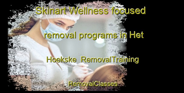 Skinart Wellness-focused removal programs in Het Hoekske | RemovalTraining | RemovalClasses | SkinartTraining-Netherlands