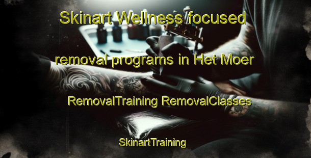 Skinart Wellness-focused removal programs in Het Moer | #RemovalTraining #RemovalClasses #SkinartTraining-Netherlands