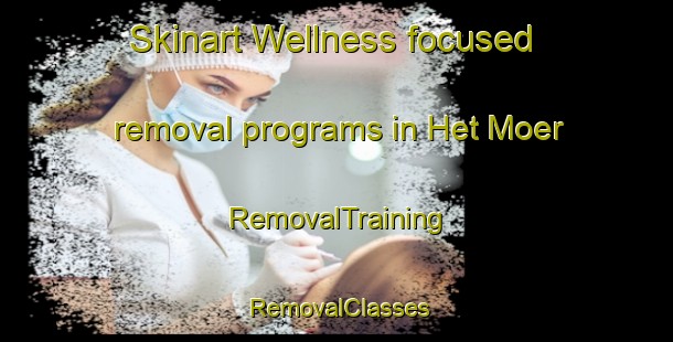 Skinart Wellness-focused removal programs in Het Moer | RemovalTraining | RemovalClasses | SkinartTraining-Netherlands