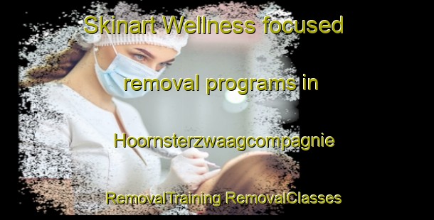 Skinart Wellness-focused removal programs in Hoornsterzwaagcompagnie | #RemovalTraining #RemovalClasses #SkinartTraining-Netherlands