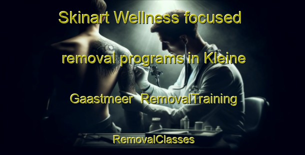 Skinart Wellness-focused removal programs in Kleine Gaastmeer | RemovalTraining | RemovalClasses | SkinartTraining-Netherlands