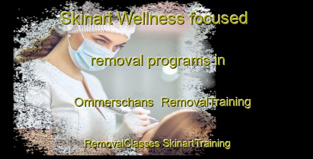 Skinart Wellness-focused removal programs in Ommerschans | #RemovalTraining #RemovalClasses #SkinartTraining-Netherlands