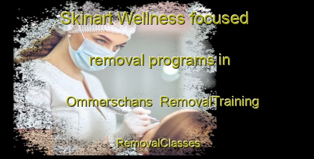 Skinart Wellness-focused removal programs in Ommerschans | RemovalTraining | RemovalClasses | SkinartTraining-Netherlands