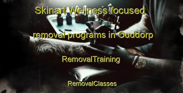Skinart Wellness-focused removal programs in Ouddorp | RemovalTraining | RemovalClasses | SkinartTraining-Netherlands