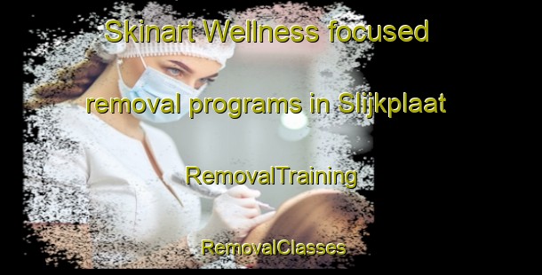 Skinart Wellness-focused removal programs in Slijkplaat | RemovalTraining | RemovalClasses | SkinartTraining-Netherlands