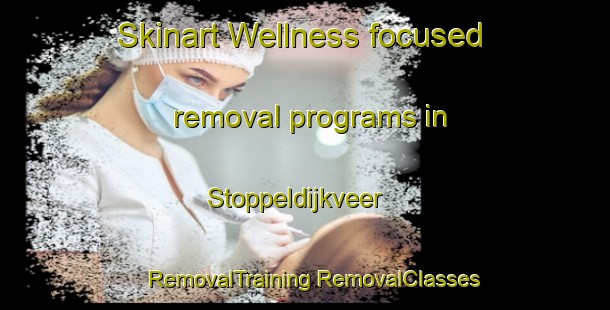 Skinart Wellness-focused removal programs in Stoppeldijkveer | #RemovalTraining #RemovalClasses #SkinartTraining-Netherlands