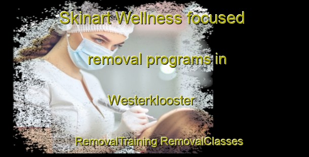 Skinart Wellness-focused removal programs in Westerklooster | #RemovalTraining #RemovalClasses #SkinartTraining-Netherlands