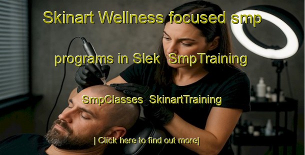 Skinart Wellness-focused smp programs in Slek | SmpTraining | SmpClasses | SkinartTraining-Netherlands