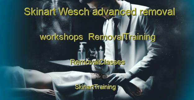 Skinart Wesch advanced removal workshops | RemovalTraining | RemovalClasses | SkinartTraining-Netherlands