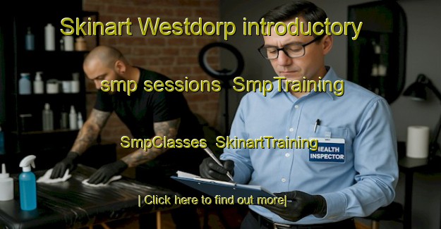 Skinart Westdorp introductory smp sessions | SmpTraining | SmpClasses | SkinartTraining-Netherlands