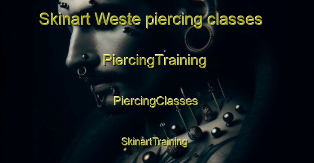 Skinart Weste piercing classes | #PiercingTraining #PiercingClasses #SkinartTraining-Netherlands