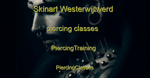 Skinart Westerwijtwerd piercing classes | #PiercingTraining #PiercingClasses #SkinartTraining-Netherlands