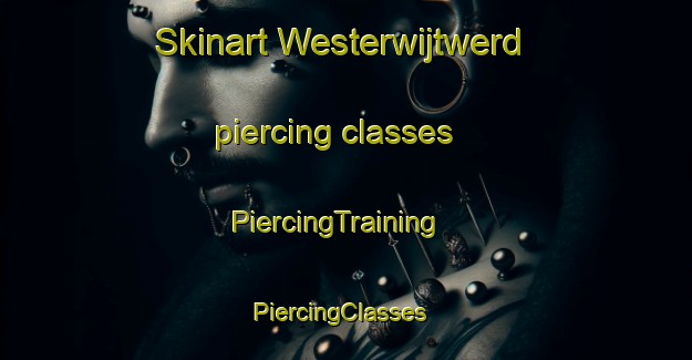 Skinart Westerwijtwerd piercing classes | PiercingTraining | PiercingClasses | SkinartTraining-Netherlands
