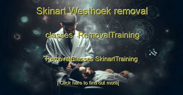 Skinart Westhoek removal classes | #RemovalTraining #RemovalClasses #SkinartTraining-Netherlands