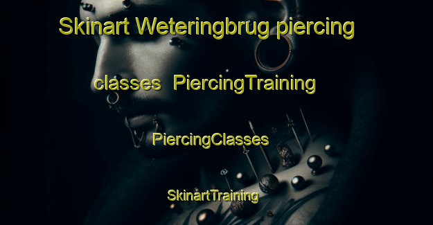 Skinart Weteringbrug piercing classes | PiercingTraining | PiercingClasses | SkinartTraining-Netherlands