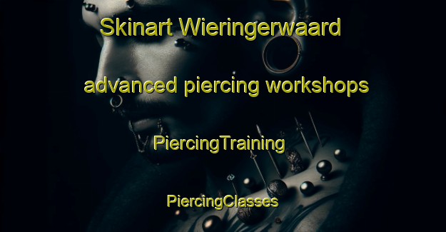 Skinart Wieringerwaard advanced piercing workshops | #PiercingTraining #PiercingClasses #SkinartTraining-Netherlands