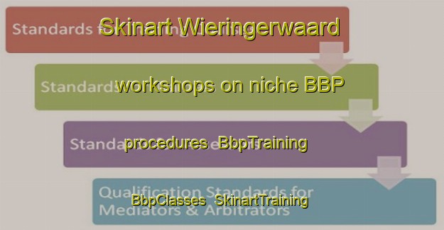 Skinart Wieringerwaard workshops on niche BBP procedures | BbpTraining | BbpClasses | SkinartTraining-Netherlands