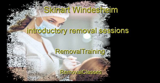 Skinart Windesheim introductory removal sessions | RemovalTraining | RemovalClasses | SkinartTraining-Netherlands