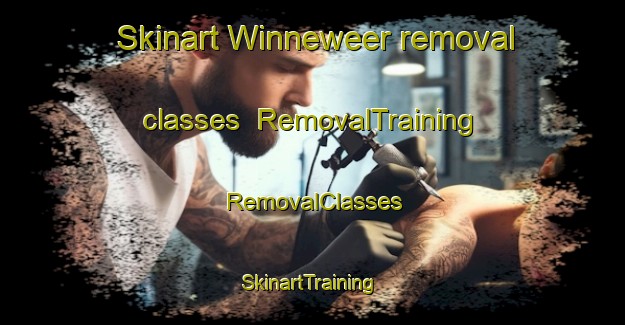 Skinart Winneweer removal classes | RemovalTraining | RemovalClasses | SkinartTraining-Netherlands