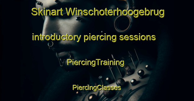 Skinart Winschoterhoogebrug introductory piercing sessions | #PiercingTraining #PiercingClasses #SkinartTraining-Netherlands