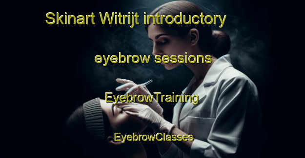 Skinart Witrijt introductory eyebrow sessions | EyebrowTraining | EyebrowClasses | SkinartTraining-Netherlands