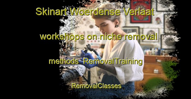 Skinart Woerdense Verlaat workshops on niche removal methods | RemovalTraining | RemovalClasses | SkinartTraining-Netherlands