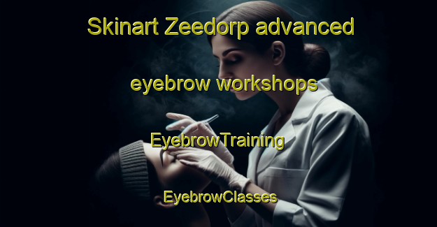 Skinart Zeedorp advanced eyebrow workshops | EyebrowTraining | EyebrowClasses | SkinartTraining-Netherlands
