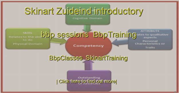 Skinart Zuideind introductory bbp sessions | BbpTraining | BbpClasses | SkinartTraining-Netherlands