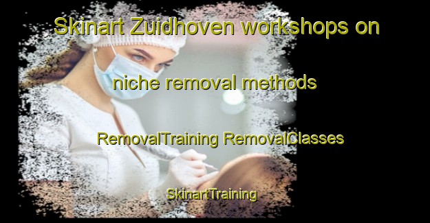 Skinart Zuidhoven workshops on niche removal methods | #RemovalTraining #RemovalClasses #SkinartTraining-Netherlands