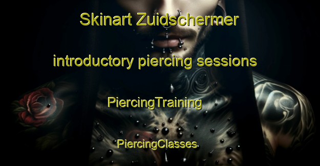 Skinart Zuidschermer introductory piercing sessions | PiercingTraining | PiercingClasses | SkinartTraining-Netherlands
