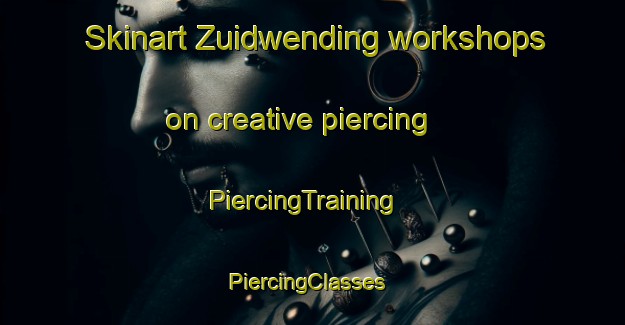 Skinart Zuidwending workshops on creative piercing | PiercingTraining | PiercingClasses | SkinartTraining-Netherlands